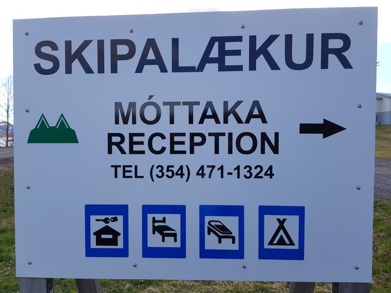 Skipalaekur